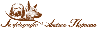 Logo Andrea Hofmann